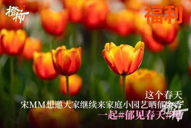 手串、越野基地试乘……橙柿福利来啦PG电子麻将胡了模拟器无人机、招财(图5)