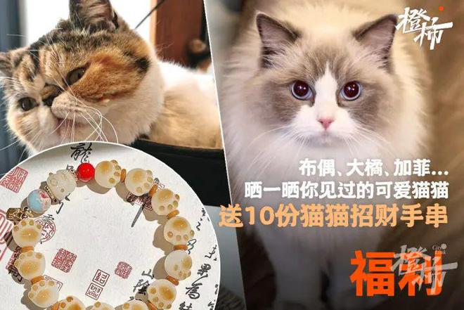 手串、越野基地试乘……橙柿福利来啦PG电子麻将胡了模拟器无人机、招财(图4)