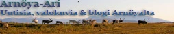 Arnöya Arin blogi