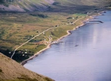 Arnöya