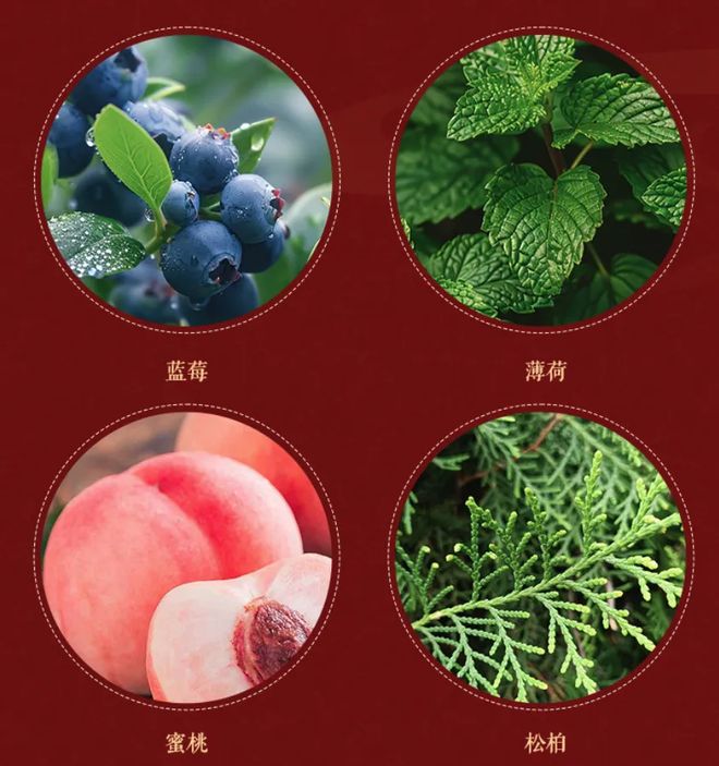 6年《故宫日历》来了100匹马盖章版麻将胡了免费试玩新京雅集——202(图13)